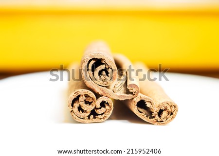 Edge of cinnamon spice on colorful background. Macro image
