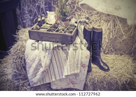picnic in country style