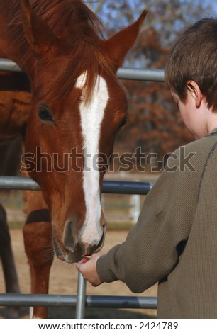 Young boy hand feeding horse