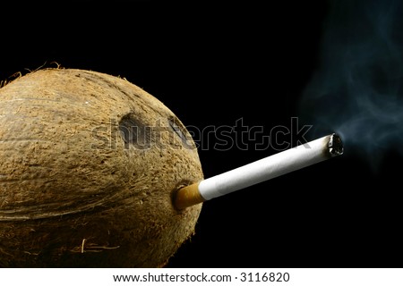 Smoke from lit cigarette put in coconut head on a black background