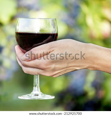 Woman\'s hand holding glass of red wine in vineyard
