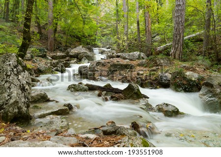 Stream of the mountain river ( long exposure ) in Crimea .