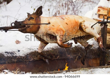Pig roasted on a fire