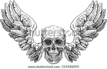 Vector Winged Skull | Download Free Vector Art | Free-Vectors