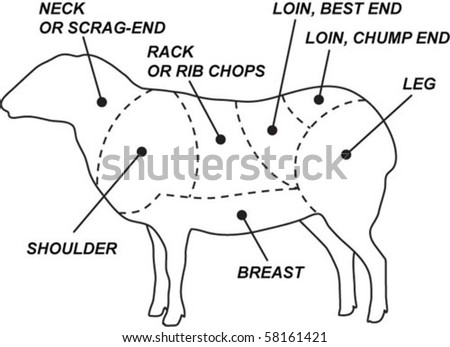 Vector mutton cuts chart