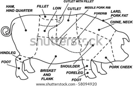 Vector Pork Chart - 58094920 : Shutterstock