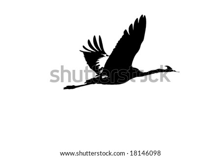 Two Tone Silhouette Of Flying Crane Stock Photo 18146098 : Shutterstock