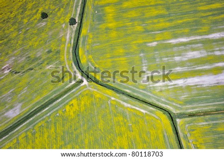 Aerial view over raps fields