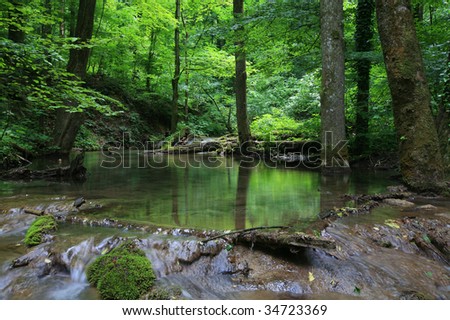 Waterfalls in the forest in spring