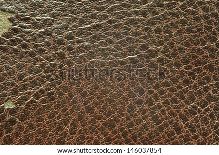 Grunge Texture background of Brown Cow leather