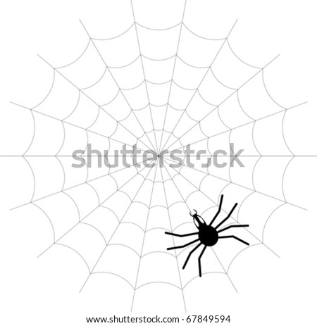 Creepy Spider Web - Vector - Eps 10 - 67849594 : Shutterstock