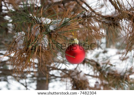 Color DSLR image of round red Christmas holiday ornament. Decoration hanging in green pine tree with white winter snow. Horizontal with copy space for text.