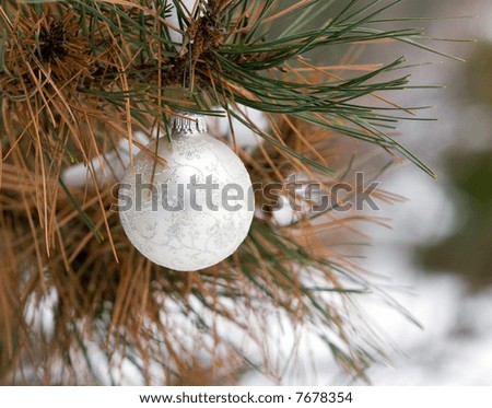 Color DSLR image of a silver and white Christmas holiday ornament. Festive decoration is hanging in a snowy green pine tree. Horizontal orientation with copy space for text.
