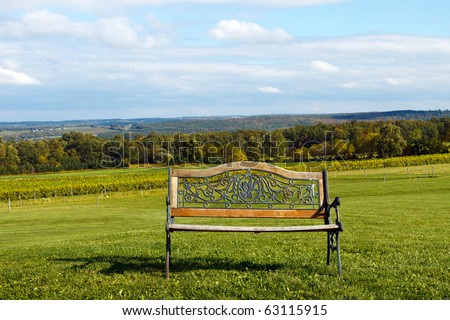 Color DSLR image of an ornate wrought iron and wood park bench in the hills, overlooking a vineyard on Keuka Lake, a New York Finger Lake. Horizontal with copy space for text.