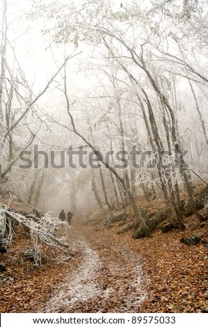 Silhouette of people walking in a winter  road in a foggy forest
