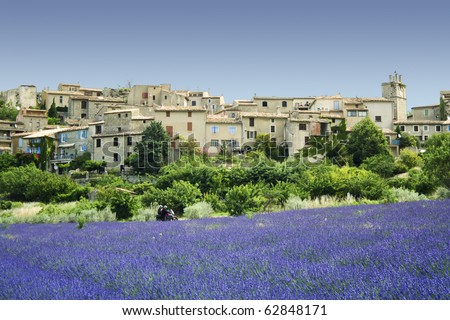 lavender flowers growing below ancient hill town in provence the south of france