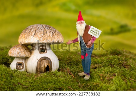 Real life garden gnome pointing at his toadstool house