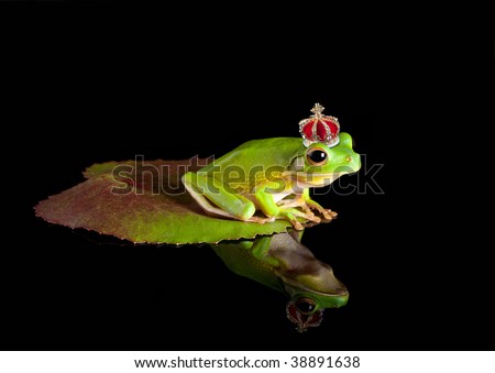 Similar – Image, Stock Photo Tree crown from frog perspective