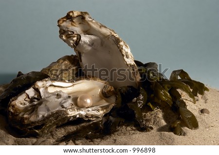 Oyster with pearl on beach