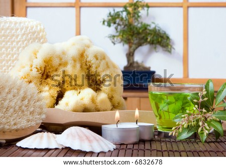 Spa bath products, green tea and bonsai tree against a traditional japanese shoji sliding window