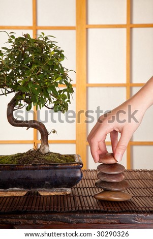 Hand stacking zen stones in a japanese interior with shoji sliding windows and bonsai tree