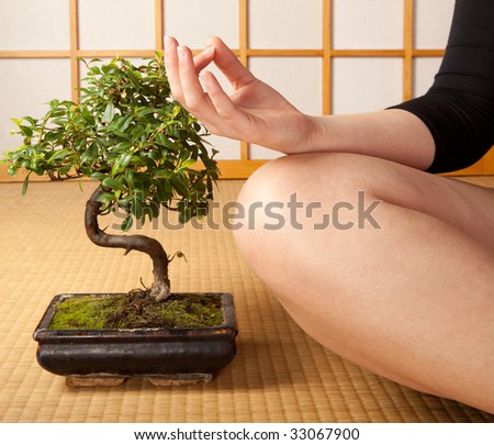 Meditating woman on a japanese tatami mat with bonsai tree