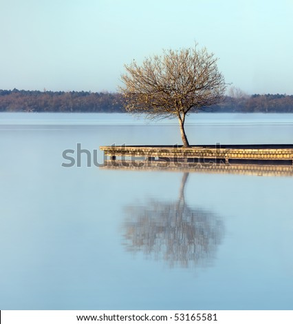 Rustic jetty on a zen-like idyllic lake in Aquitaine, France