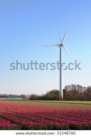 Modern windmill and springtime tulip fields in Holland