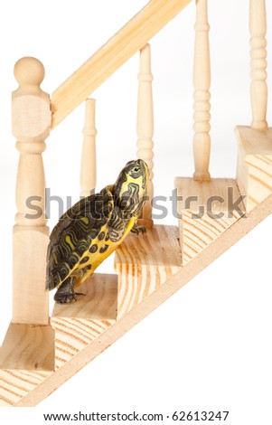 Similar – Image, Stock Photo Reach goal slowly but surely at snail’s pace