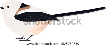 Birds collection A Shima Enaga Vector illustration of long-tailed tit found living on the island Hokkaido, Japan Isolated object set