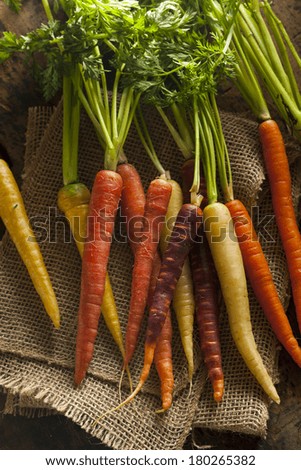 Colorful Multi Colored Raw Carrots on a Background