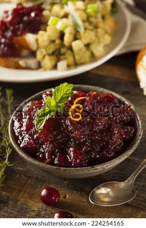 Homemade Red Cranberry Sauce for the Holidays