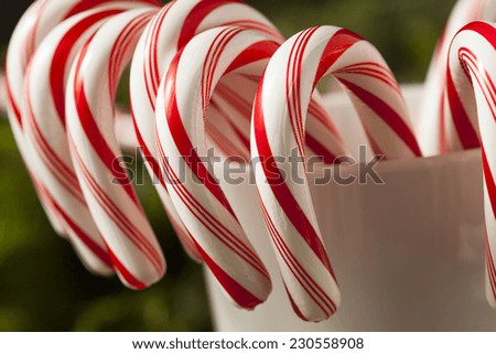 Festive Red and White Peppermint Candy Canes