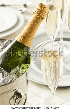 Alcoholic Champagne for New Years Eve Celebration