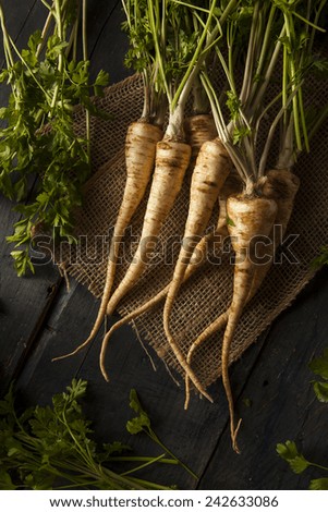 Raw Organic Parsley Root on a Background