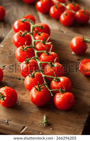 Raw Organic Red Cherry Tomatoes on the Vine