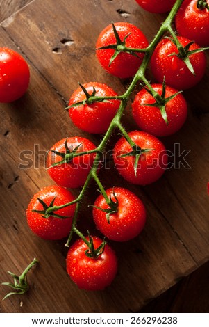 Raw Organic Red Cherry Tomatoes on the Vine