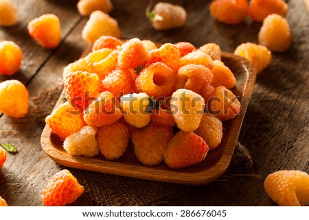 Raw Organic Orange Sunshine Raspberries Ready to Eat