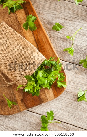 Organic Italian Flat Leaf Parsley Ready to Eat