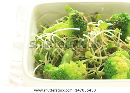 Japanese salad, radish sprout and boiled broccoli salad