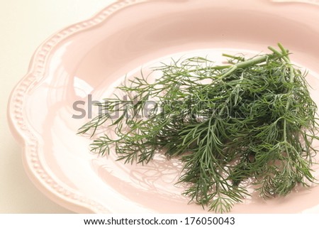 freshness green herb, strong aroma Dill weed on pink dish