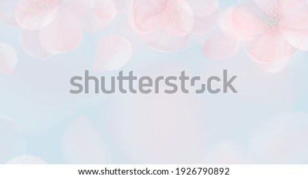 Sakura petal pink background. Vector spring flowers abstract banner, floral blur design, wallpaper texture, delicate nature concept backdrop, summer blossom bokeh cover with place for text