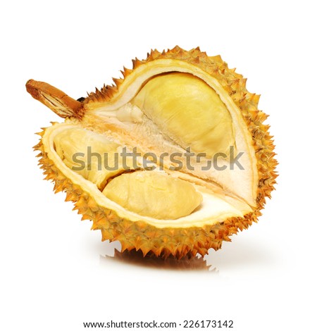 Durian fruit in south east asia, the king of fruits on white background