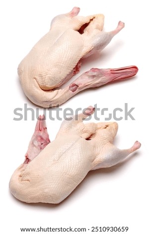 Similar – Image, Stock Photo Plucked chicken 1 Animal