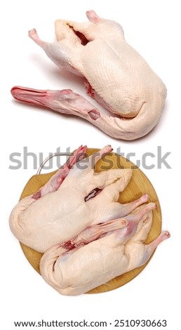 Similar – Image, Stock Photo Plucked chicken 1 Animal