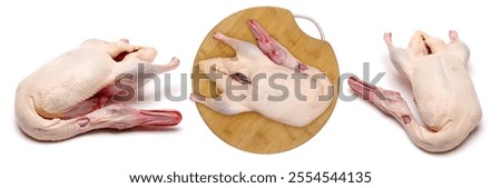 Similar – Image, Stock Photo Plucked chicken 1 Animal