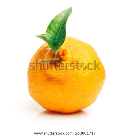 Large ugly fruit on a white background