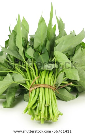 Water spinach on white background