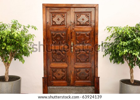 classical wooden entrance door of a canary house with two potted plants at the side