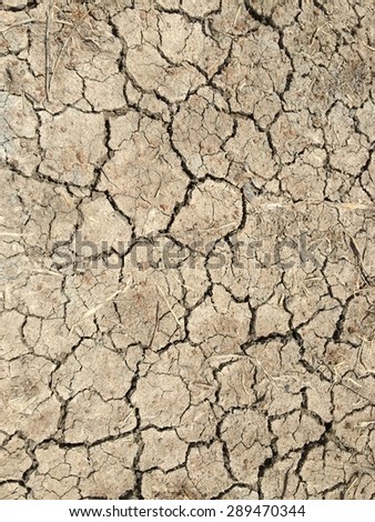 Texture of close up Dried soil